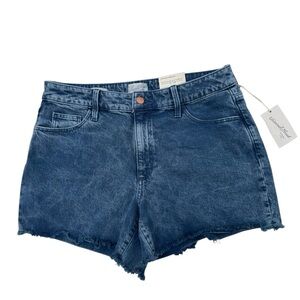 Universal Thread Blue Jean Shorts